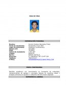 Ejempo de hoja de vida