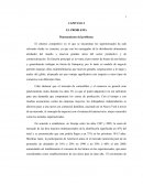 La hidroponía como técnica de producción de hortalizas
