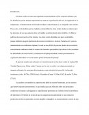 Proyecto areas verdes