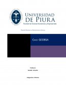 Programa Académico de Administración de Servicios caso GEOBSA