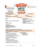 Planeacion Ciclo Escolar 2014-2015