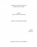 EL AMOR POR LA ESCRITURA