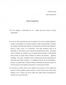 Estilos fotográficos