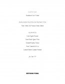 IMPLEMENTACIÓN DE PROYECTOS