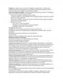 Resumen: Tema el Producto