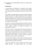 Unidad didáctica los colores