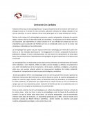 Caminando Con Caníbales