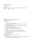 Cual es la Planificacion practicas del lenguaje