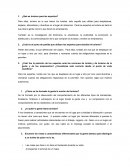 Que dicen los expertos del turismo