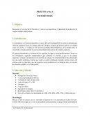 PRÁCTICA: FOTOSÍNTESIS