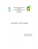 NUEVO CREYENTE Y LEALES Y HONORABLES