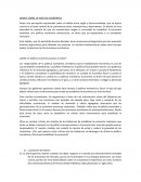 DEBATE SOBRE LA POLÍTICA ECONÓMICA