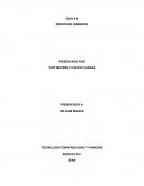 GUIA # 4 DE DERECHOS HUMANOS