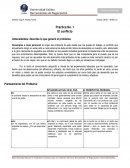 A que se debe el Plantamiento del problema fase 1