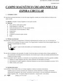 Informe sobre el campo magnetido