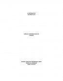 LA INFORMATICA COLORIDA LOCA