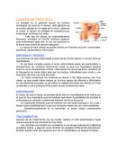 DIFERENTES TIPOS DE CANCER