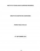 Ensayo gestion de almacenes