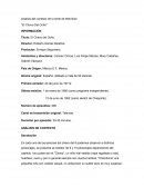 ENSAYO chavo del ocho