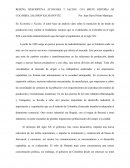 RESEÑA DESCRIPTIVA ECONOMIA Y NACION: UNA BREVE HISTORIA DE COLOMBIA, SALOMON KALMANOVITZ.