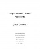 Esquizofrenia en Cerebro Adolescente