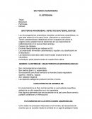BACTERIAS ANAEROBIAS: ASPECTOS BACTERIOLOGICOS