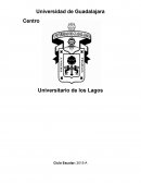 Ensayo - Padres que odian