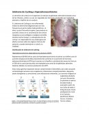 Síndrome de Cushing o hiperadrenocortisismo