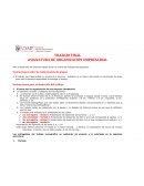 Organizacion xxi TRABAJO FINAL