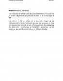 Analfabetismo En Honduras