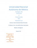 Ensayo sobre la Respiración aerobia