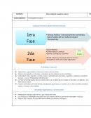 Conquista Incaica - Recordando nuestras raíces