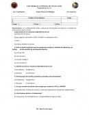 Examen: fotosintesis