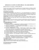 MORFOLOGIA DE LA PLACENTA Y CORDON UMBILICAL