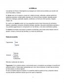 ¿Qué es la semilla en las plantas?