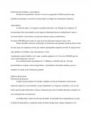 Evaluación de proyecto de inversión