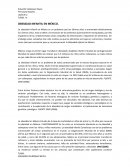 Obesidad infantil en México OBESIDAD INFANTIL EN MÉXICO.