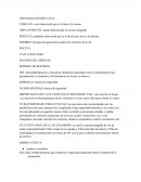 Glosario de seguridad víal