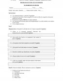 PRUEBA DE LECTURA OCTAVO BÁSICO EL DIARIO DE ANA FRANK