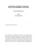 Ensayo Los cuidados paliativos
