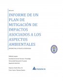 Informe de un plan de mitigación de impactos asociados a los aspectos ambientales en la refacción de una ruta