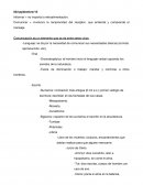 Teaorias de la comunicación