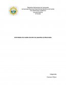 Actividades del cadete durante las pasantías profesionales