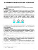 DETERMINACIÓN DE LA TEMPERATURA DE EBULLICIÓN