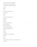 La hormiguita Cantora y el duende Melodía