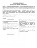 EL AUDITOR Y LA AUDITORÍA ADMINISTRATIVA