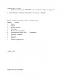 Analizis finaicero Pro-sazón