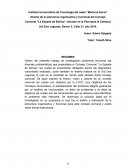 Diseño de la estructura organizativa y funcional del Consejo Comunal “La Espada de Bolívar”