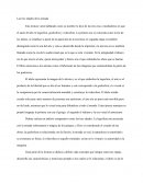 Lectura: Las tres edades de la mirada