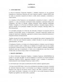 ENSAYO ACERCA DE LA EMPRESA ENSAYO